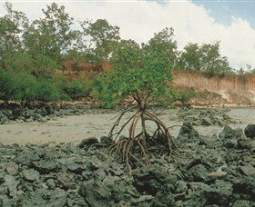 Garig Gunak Barlu National Park - Accommodation Georgetown 3