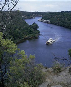 Lower Glenelg National Park - Accommodation Georgetown 0