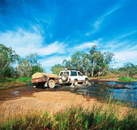 Rinyirru Lakefield National Park CYPAL - Accommodation Georgetown