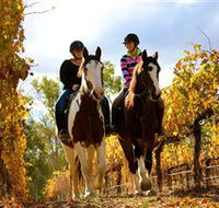 Billabong Ranch - Accommodation Georgetown