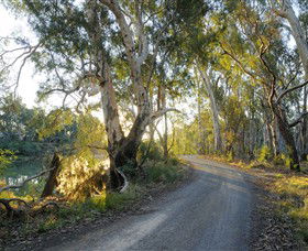 Alton Gallery - Echuca Moama Artists - Accommodation Georgetown 0