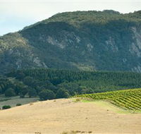 Langi Ghiran State Park - Accommodation Georgetown