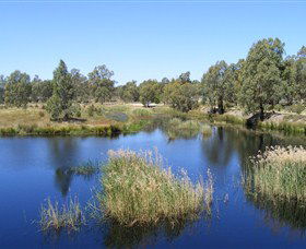 Narrandera Wetlands - Accommodation Georgetown 0