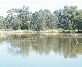 Narrandera Wetlands - Accommodation Georgetown 1