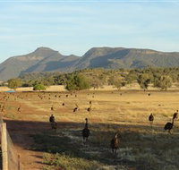 Emu Logic - Accommodation Georgetown