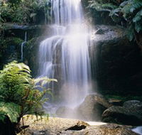 Mount Buangor State Park - Accommodation Georgetown