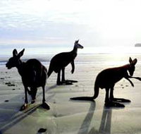 Hibiscus Coast - Accommodation Georgetown