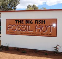 Big Fish Fossil Hut at Peak Hill - Accommodation Georgetown
