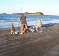 Cape Hillsborough National Park - Accommodation Georgetown
