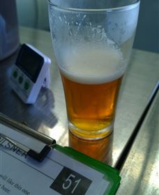 Goanna Brewing - Accommodation Georgetown 1
