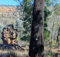 Eualdrie walking track - Accommodation Georgetown