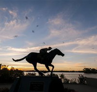 Black Caviar Statue - Accommodation Georgetown