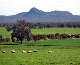 Tootool ACT Accommodation Georgetown