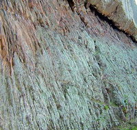 The Rock Nature Reserve - Kengal Aboriginal Place - Accommodation Georgetown