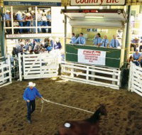 Gracemere Exhibition Complex - Accommodation Georgetown