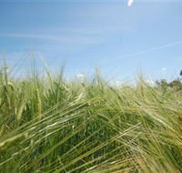 150 Degrees East Meridian - Accommodation Georgetown