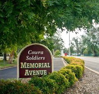 Memorial Avenue in Cowra - Accommodation Georgetown