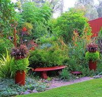 Out of Town Nursery and Humming Garden - Accommodation Georgetown