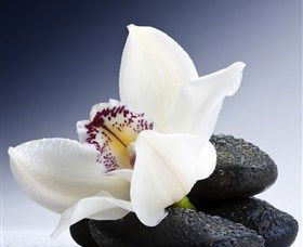 H2O Spa - Accommodation Georgetown 1