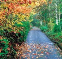 Mount Wilson and Mount Irvine - Accommodation Georgetown