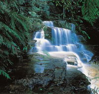 Leura Cascades - Accommodation Georgetown