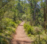 Mares Forest Creek walking track - Accommodation Georgetown