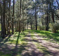 Wombeyan Waterfall walking track - Accommodation Georgetown