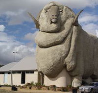 Big Merino - Accommodation Georgetown