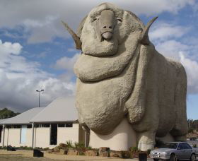Big Merino - Accommodation Georgetown 0