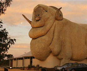 Big Merino - Accommodation Georgetown 3