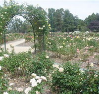 Victoria Park Rose Garden - Accommodation Georgetown