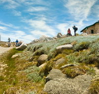 Mount Kosciuszko Summit walk - Accommodation Georgetown