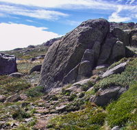 Mount Stillwell walk - Accommodation Georgetown