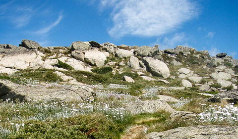 Mount Stillwell Walk - Accommodation Georgetown 1