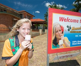 Mammino Gourmet Ice Cream - Accommodation Georgetown 3