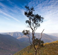 Salisbury Waters walking track - Accommodation Georgetown