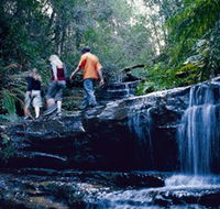 South Lawson Waterfall Circuit - Accommodation Georgetown