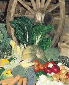 Mulgowie Real Farmers Markets - Accommodation Georgetown 0