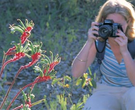 Kalamunda National Park - Accommodation Georgetown 1