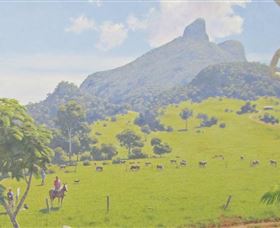 Aitkens Australia In The Round - Accommodation Georgetown 2