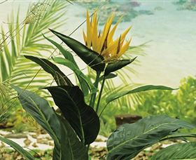 Aitkens Australia In The Round - Accommodation Georgetown 0