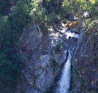 Lyrebird Falls walking track - Accommodation Georgetown
