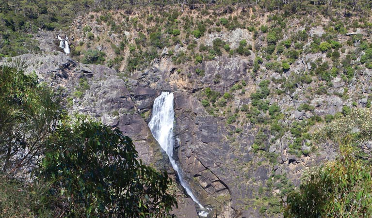 Yarrowitch NSW Accommodation Georgetown