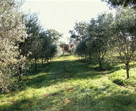 Langdale Farm - Accommodation Georgetown