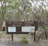 Box Vale Picnic Area - Accommodation Georgetown