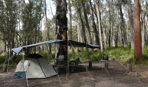 Cathedral Rock National Park - Accommodation Georgetown 1