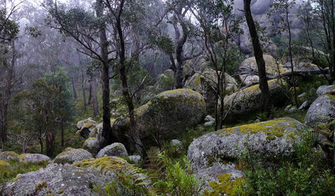 Cathedral Rock National Park - Accommodation Georgetown 2