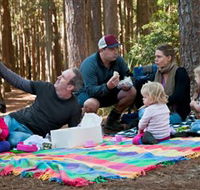 State Forests of the Watagan Mountains - Accommodation Georgetown