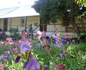 Raglan Gallery And Cultural Centre - Accommodation Georgetown 0