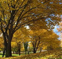 Centennial Park at Cooma - Accommodation Georgetown